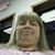 Susan Dooley's profile image