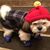 Penny B.'s profile image