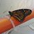 Tina Marie Landry's profile image