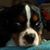 Lori Retter's profile image