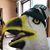 Dan Wallace's profile image