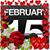 Aimee Bergquist's profile image