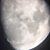 Gail Wilhoite's profile image