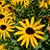Shelly K Keener's profile image