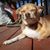 Moxie Deghand's profile image