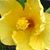 Jan Grayson-Buscarino's profile image