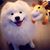 Gene Liu's profile image