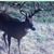 Larry Lambdin's profile image