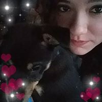 Jessica Shippey's profile image