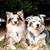 Carolynn Richardson Williams's profile image