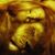 Randy Lyon's profile image