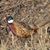 Wylie DeGruson's profile image