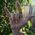 Sue Lowry's profile image