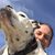 Brett Murray's profile image