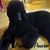 Tosha Branum Champ's profile image