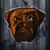 Mike Mandich's profile image