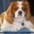 Colleen Fagan Szykuc's profile image