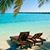 Kristie Chicarelli's profile image