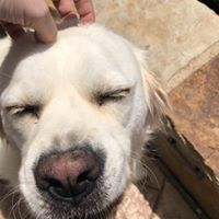 Jamie Lynn Mallory's profile image