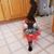 Terrie Drewry's profile image
