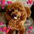 Twila Goodwin's profile image