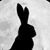 James L Stuart's profile image