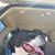 Tiffany Crandell's profile image