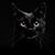 Andrea Hatchett's profile image