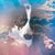 Kelly Flynn-Dawson's profile image