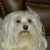 Vickie Scallion's profile image