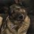 Marjorie George Scott's profile image