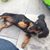 Steve Henderson's profile image