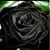 Cielo Pacita's profile image