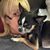 Cathy Gilbert's profile image