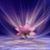 Leonor Harloff's profile image