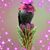 Teresa Roush Dupuy's profile image