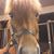 Meredith Johnson's profile image