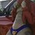 Sedrick Campbell's profile image