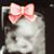 Erica Renee Williams's profile image