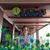 Kathryn Sroka's profile image