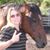 Dawn Ziegler's profile image
