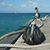 Katrien Werner's profile image