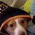 Lorie Knight's profile image