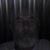 Tip Rouse's profile image