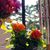 Cinda Sawyer's profile image
