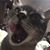 Ruthie Osburn's profile image