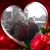 DeWana Williams Lacour's profile image