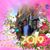 Trung Pham's profile image