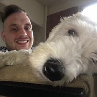 Bryan Wood's profile image