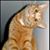 Bobbie Wood's profile image